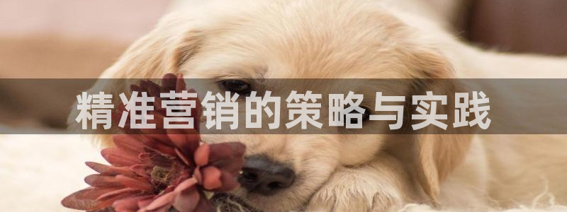 必赢7321取不出钱