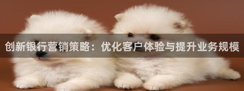 必赢手机app下载安装