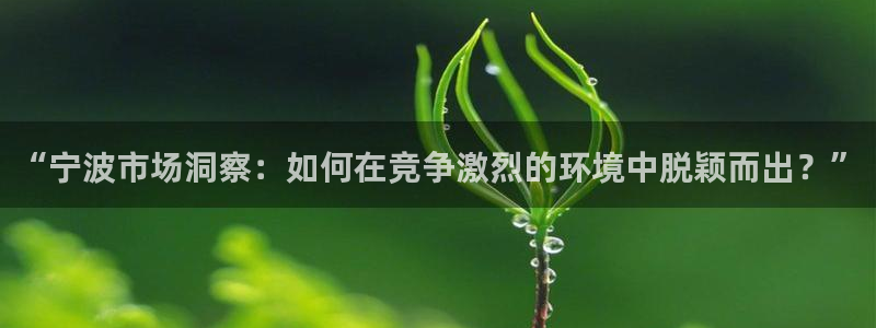必赢网络游戏平台