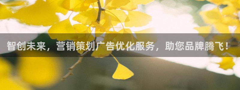 必赢网站有哪些