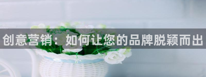 必赢72886后面字母是多少：
